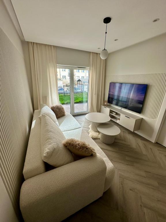 Salon z sofą i TV